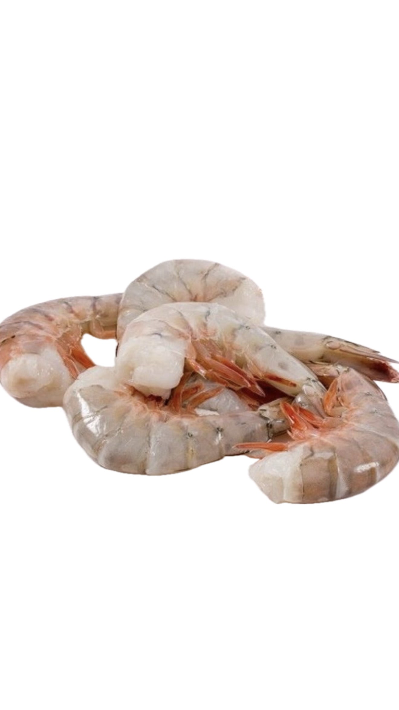Extra Jumbo Shrimps (4)